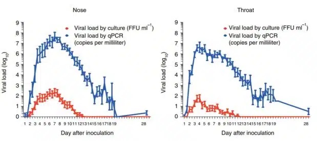 05 PCR vs. Kulturviruslast